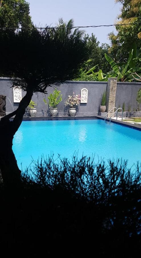 فندق Mias Jungle House لوفينا المظهر الخارجي الصورة