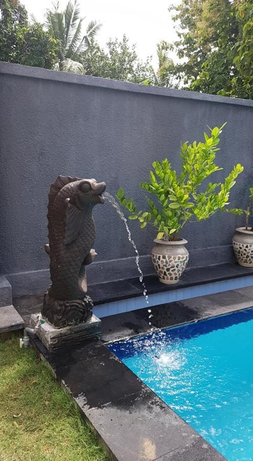 فندق Mias Jungle House لوفينا المظهر الخارجي الصورة