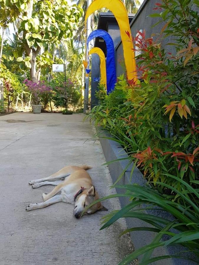 فندق Mias Jungle House لوفينا المظهر الخارجي الصورة
