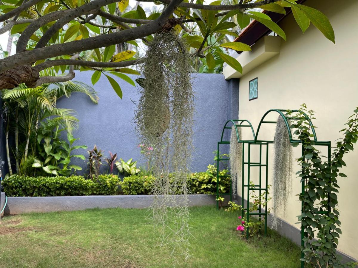 فندق Mias Jungle House لوفينا المظهر الخارجي الصورة