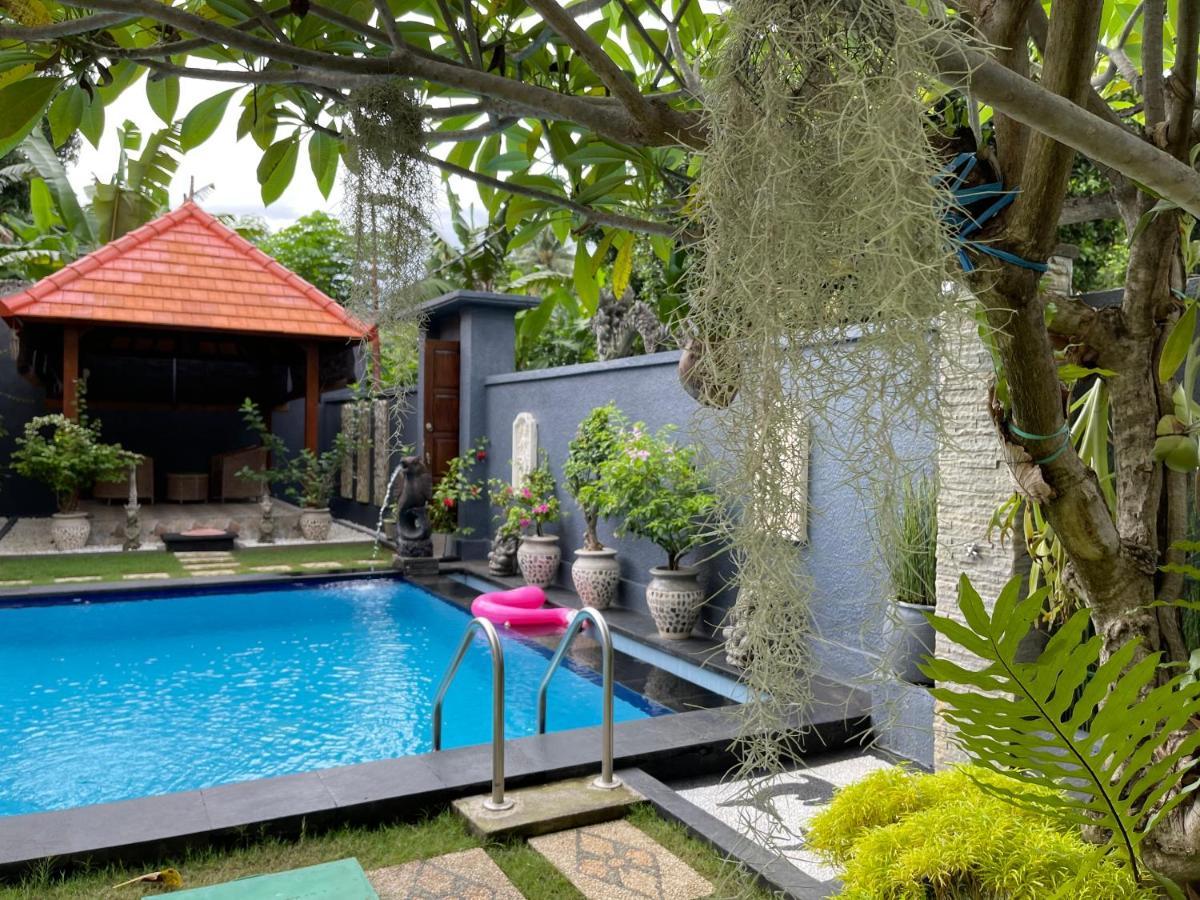 فندق Mias Jungle House لوفينا المظهر الخارجي الصورة